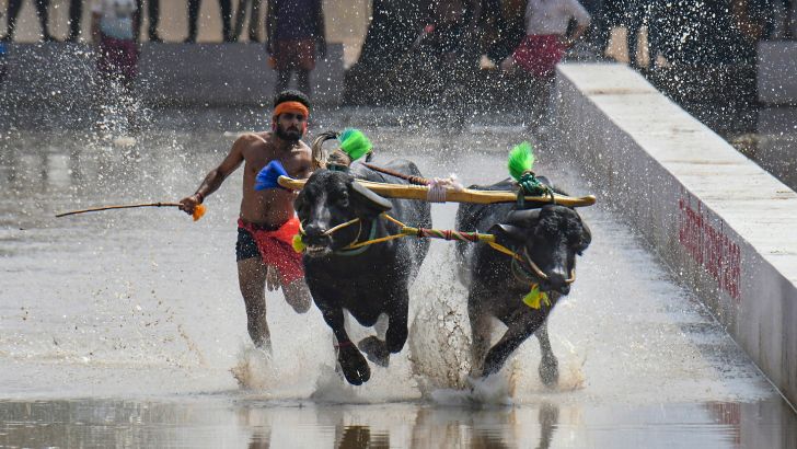 https://www.salarnews.in/public/uploads/images/newsimages/maannewsimage18102026_162213_Kambala .jpg